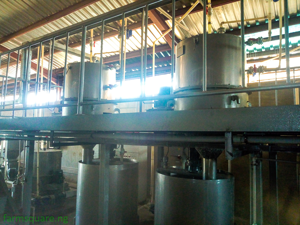 Get Automated End-End Cassava Starch Processing Plant from Farm Square Nigeria