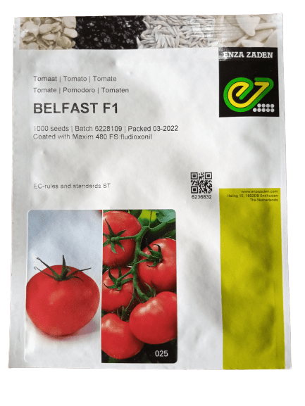 Farmsquare Belfast f1 Tomato seed