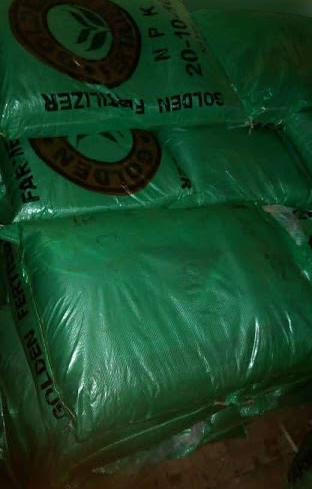 NPK 20:10:10 Fertilizer (Golden Penny Brand) -50kg Bag