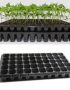 50-seedling-trays-from-farmsquare-nigeria
