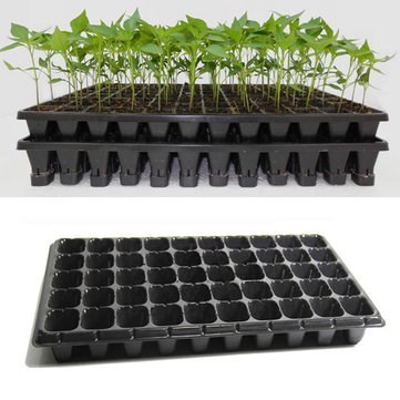 50-seedling-trays-from-farmsquare-nigeria