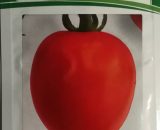 Maxim F1 Tomato Hybrid Seeds (Continental Seeds)