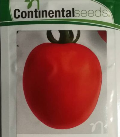 Maxim F1 Tomato Hybrid Seeds (Continental Seeds)