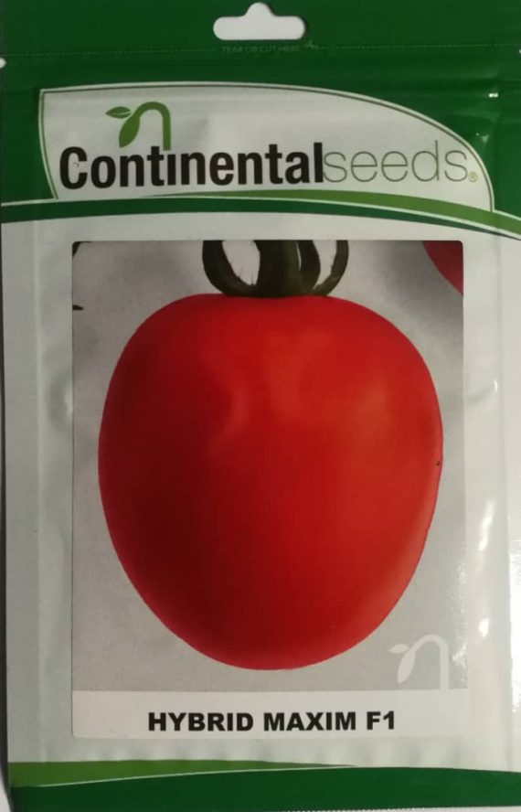 Maxim F1 Tomato Hybrid Seeds (Continental Seeds)