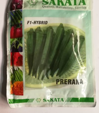 Okra Seeds Prerana F1