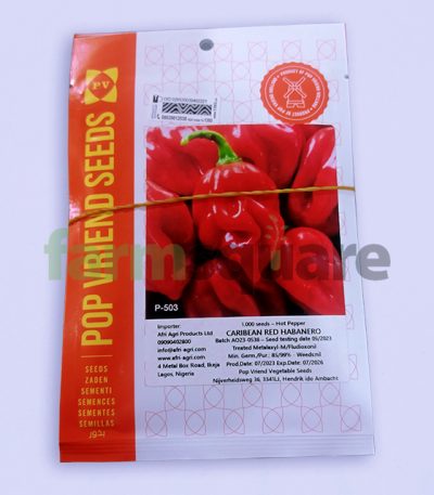 Caribean-Red-habanero-pepper