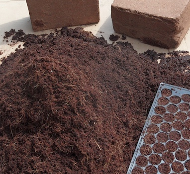Agricultural Coco Peat for Planting