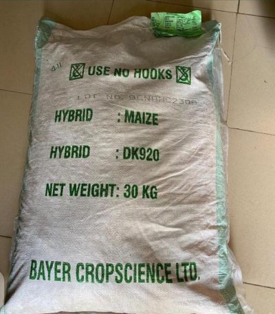 DeKalb hybrid maize