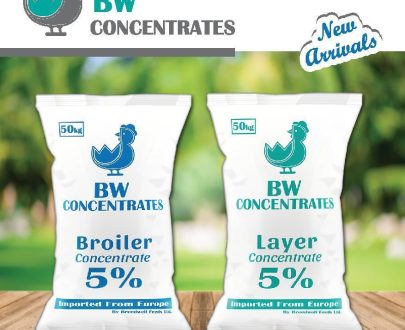 BW 5% Concentrate