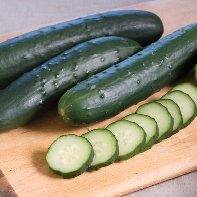 cucumber corinto Farmsquare