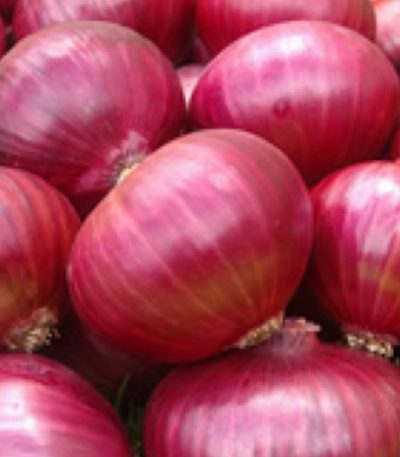 Onion seeds