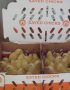 SAYED Day Old Broiler Chicks (Ross 308)