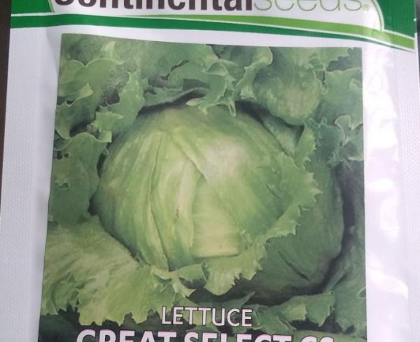 Lettuce Great Select CS (Continental seeds)
