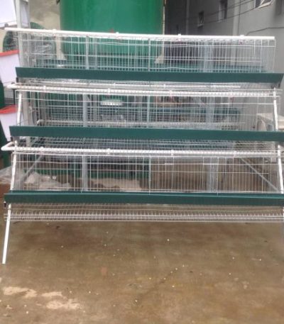 Battery Cages