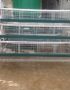 Battery Cages