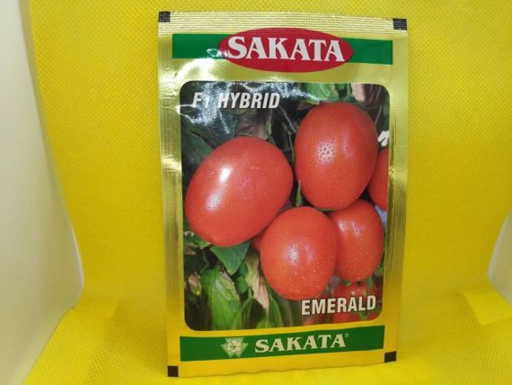 tomato seed Farmsquare