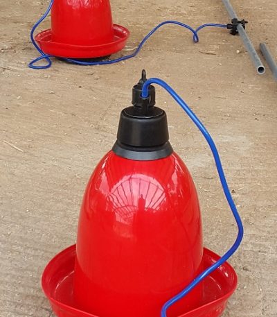Automatic bell drinkers (Indian)
