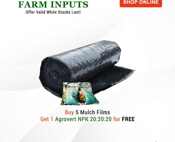 Waterproof mulch film