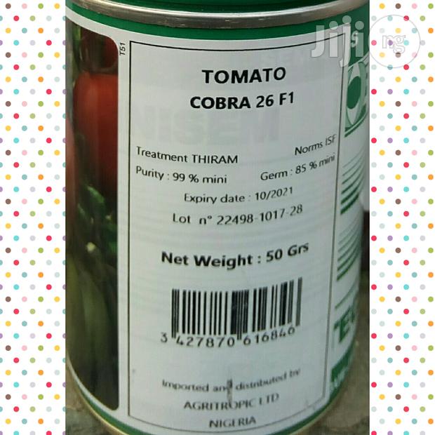 Tomato Hybrid Seeds (Cobra 26 F1) -Technisem Brand