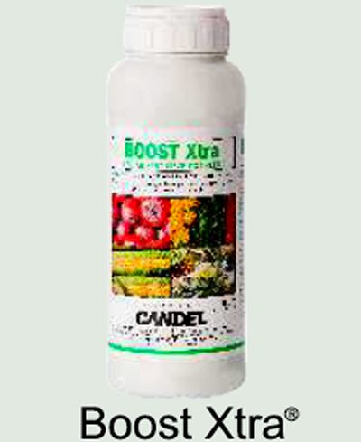 Boost Xtra Liquid Fertilizer