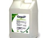 Vanquish Herbicide