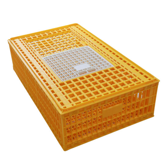 Plastic Broiler Chicken Carriage Cage for Poultry Farm Plastic Chicken Transport Cage Coop Farmsquare