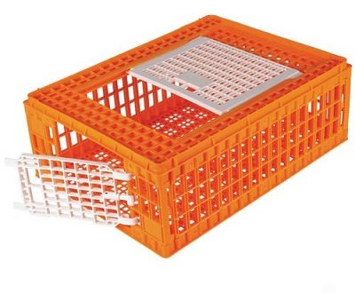 Plastic Transport Crate (Live Poultry)