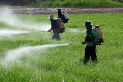 Farmers applying pesticides