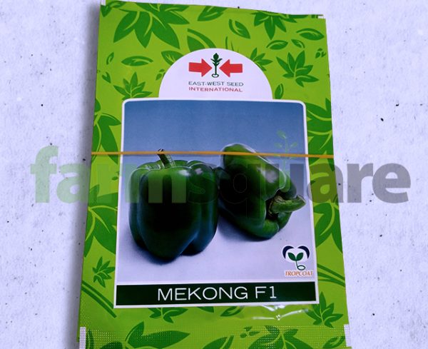 Mekong f1 sweet pepper