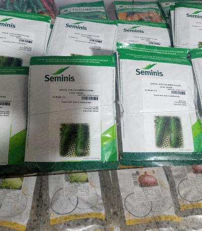 Cucumber Hybrid Seeds (Darina F1) -10g/25g