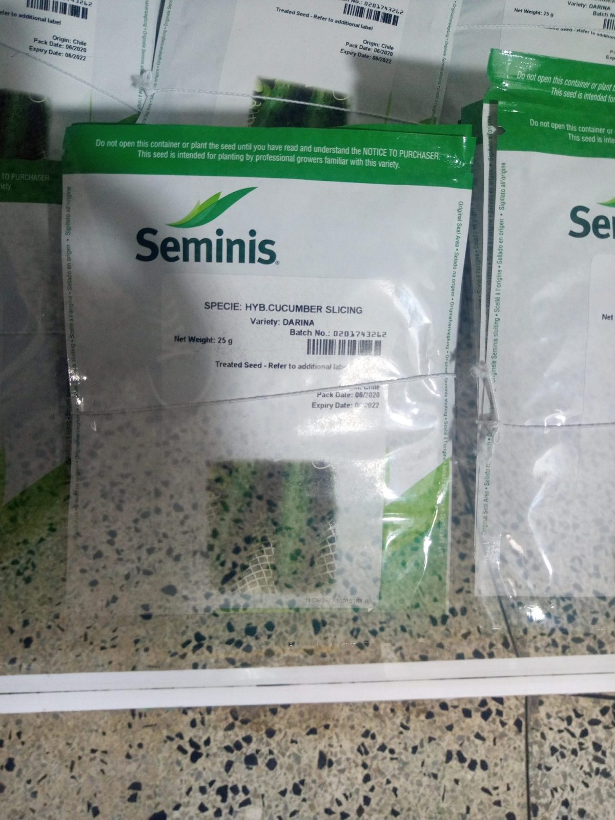 Cucumber Hybrid Seeds (Darina F1) -10g/25g - Image 3
