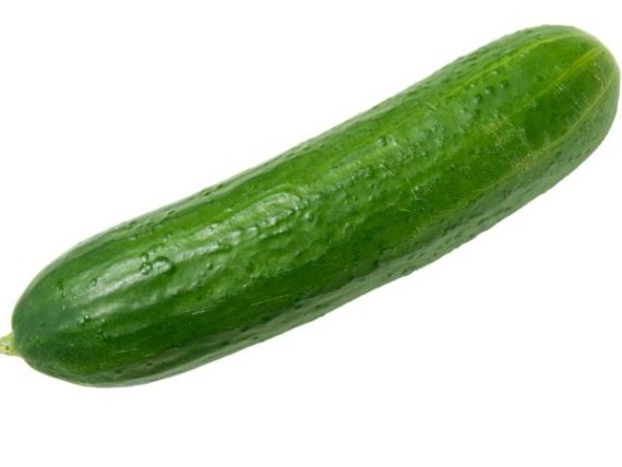 Darina cucumber Farmsquare
