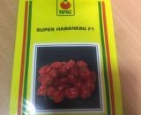 Habanero pepper