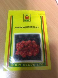 Hot Habenero Pepper Seeds available foe sales
