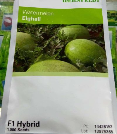 Eghali F1 Watermelon Hybrid Seeds -1000 Seeds (Sygenta Brand)