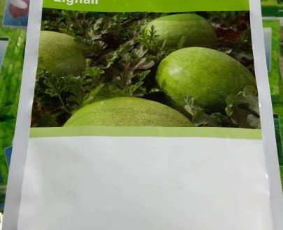 Eghali F1 Watermelon Hybrid Seeds -1000 Seeds (Sygenta Brand)