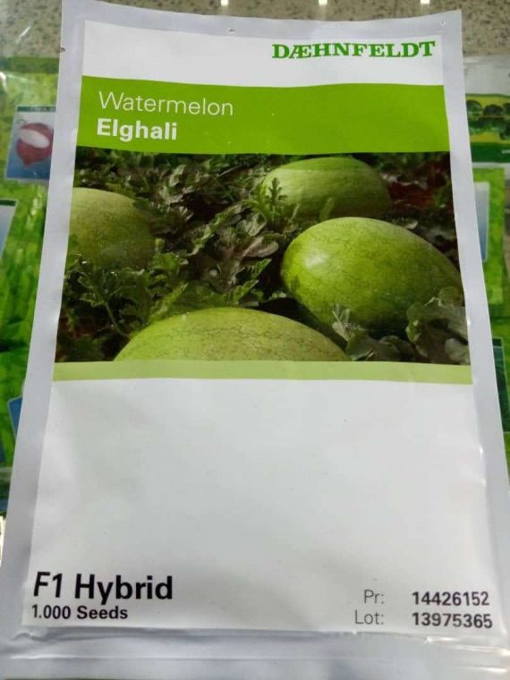 Eghali F1 Watermelon Hybrid Seeds -1000 Seeds (Sygenta Brand)