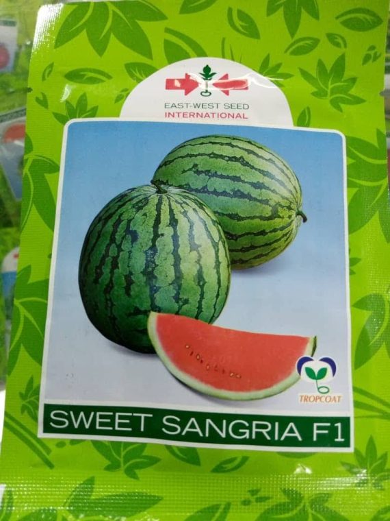 Sweet Sangria F1 Watermelon Seeds -10g Pack (East-West Seeds Brand)