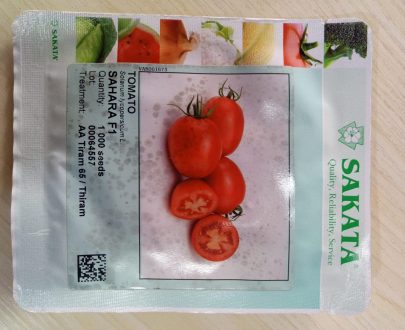 Tomato Hybrid seeds - Sahara F1