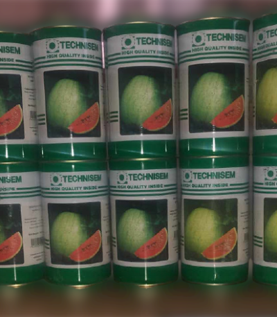 Watermelon Kaolack Seeds