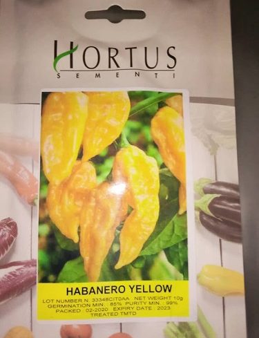 yellow habanero hot peppers