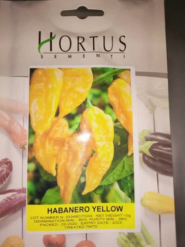 yellow habanero hot peppers