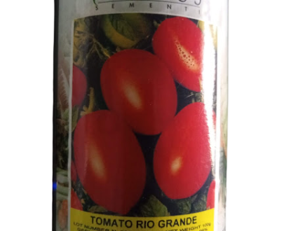 Tomato Rio-Grande