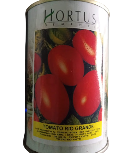 Tomato Rio-Grande