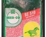 Maize Hybrid Seeds Variety (SC 510) -2kg