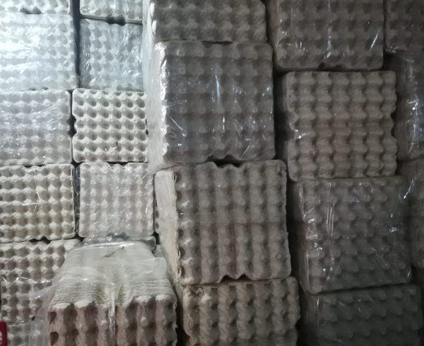 Eko pak paper crates