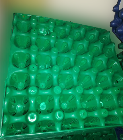 Plastic Egg Crates 30 Eggs Capacity