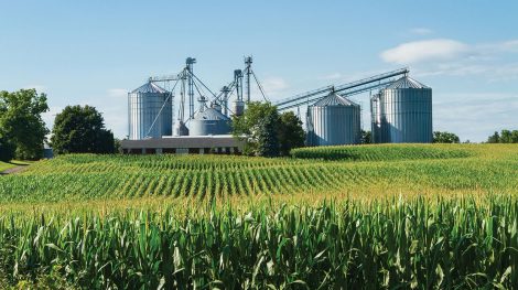 agribusiness