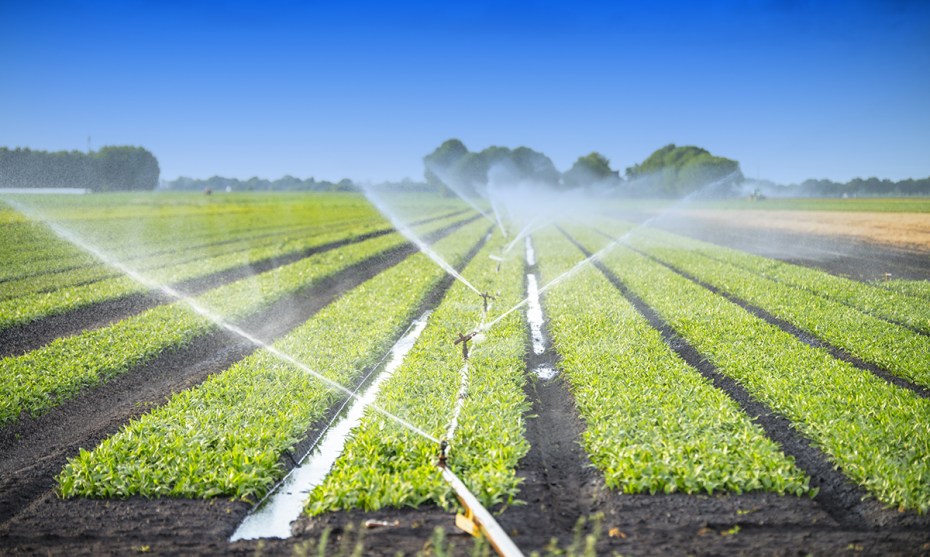 Irrigation Systems: Types And Their Benefits Farmsquare