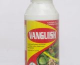 Vanguish Systemic and Contact Insecticide